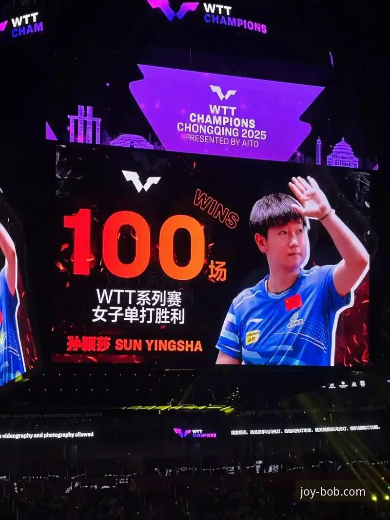 为什么一场WTT决赛，让资深用户更青睐在BOB娱乐APP下载最新版本？